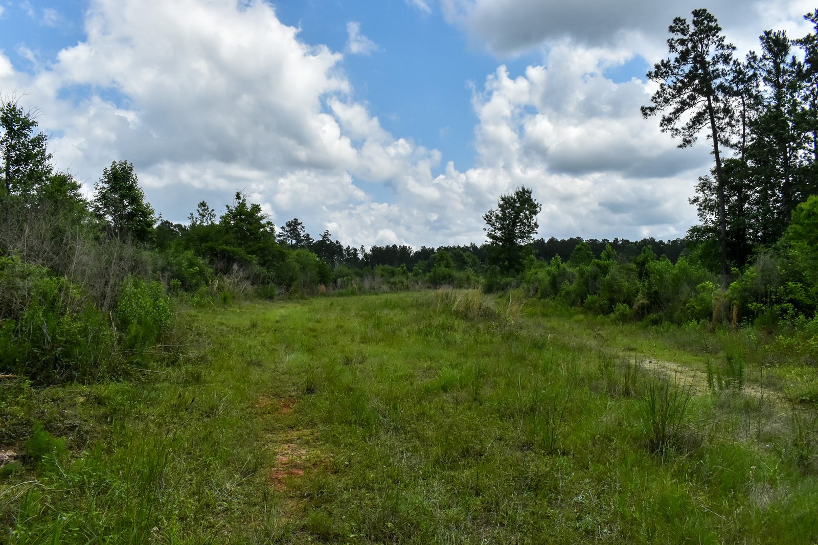 0 Oakdale Loop Livingston TX 77351