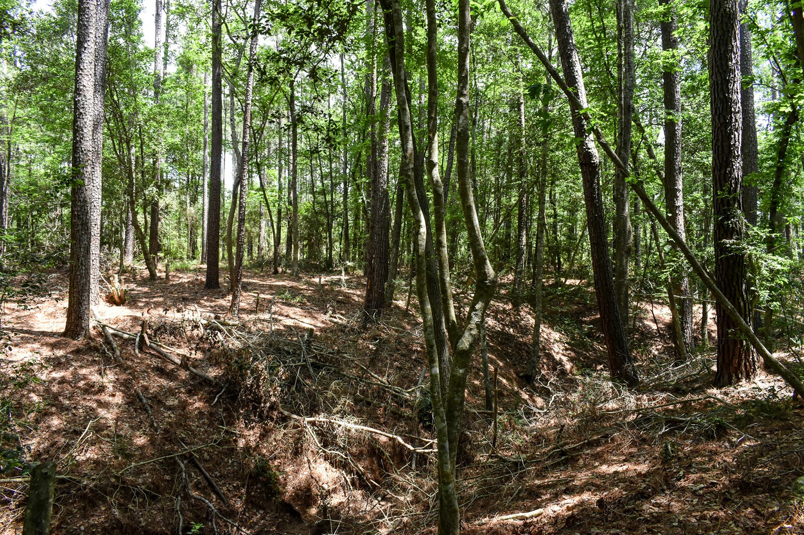 0 Oakdale Loop Livingston TX 77351