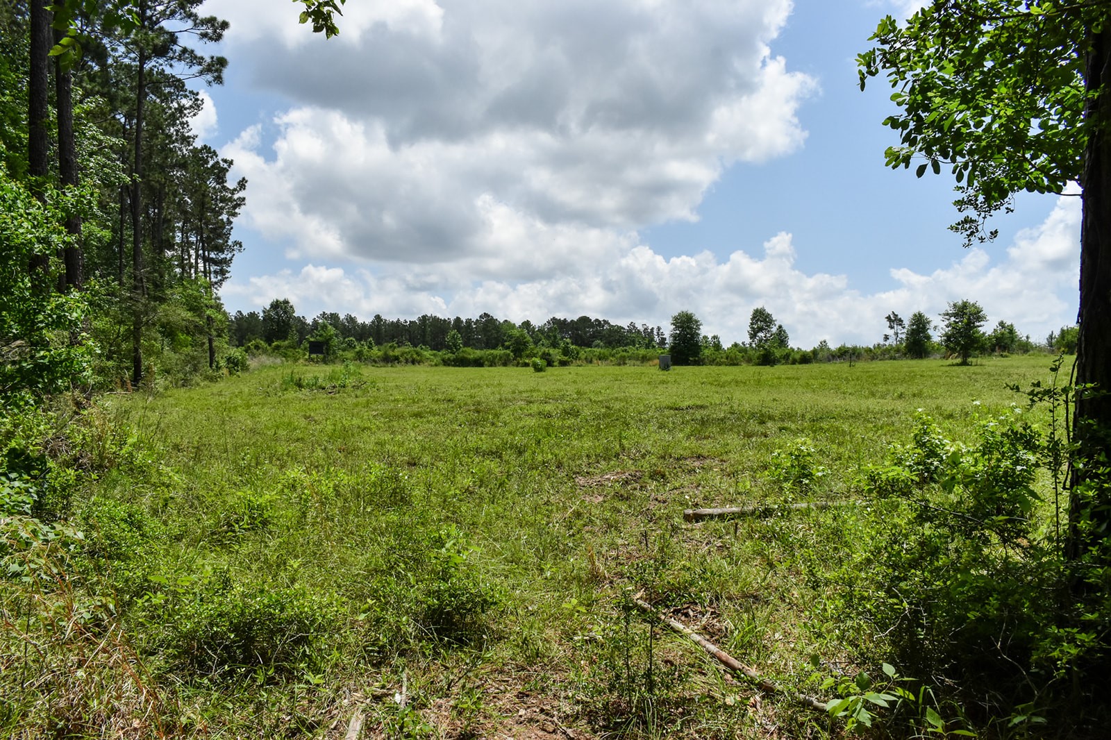 0 Oakdale Loop Livingston TX 77351
