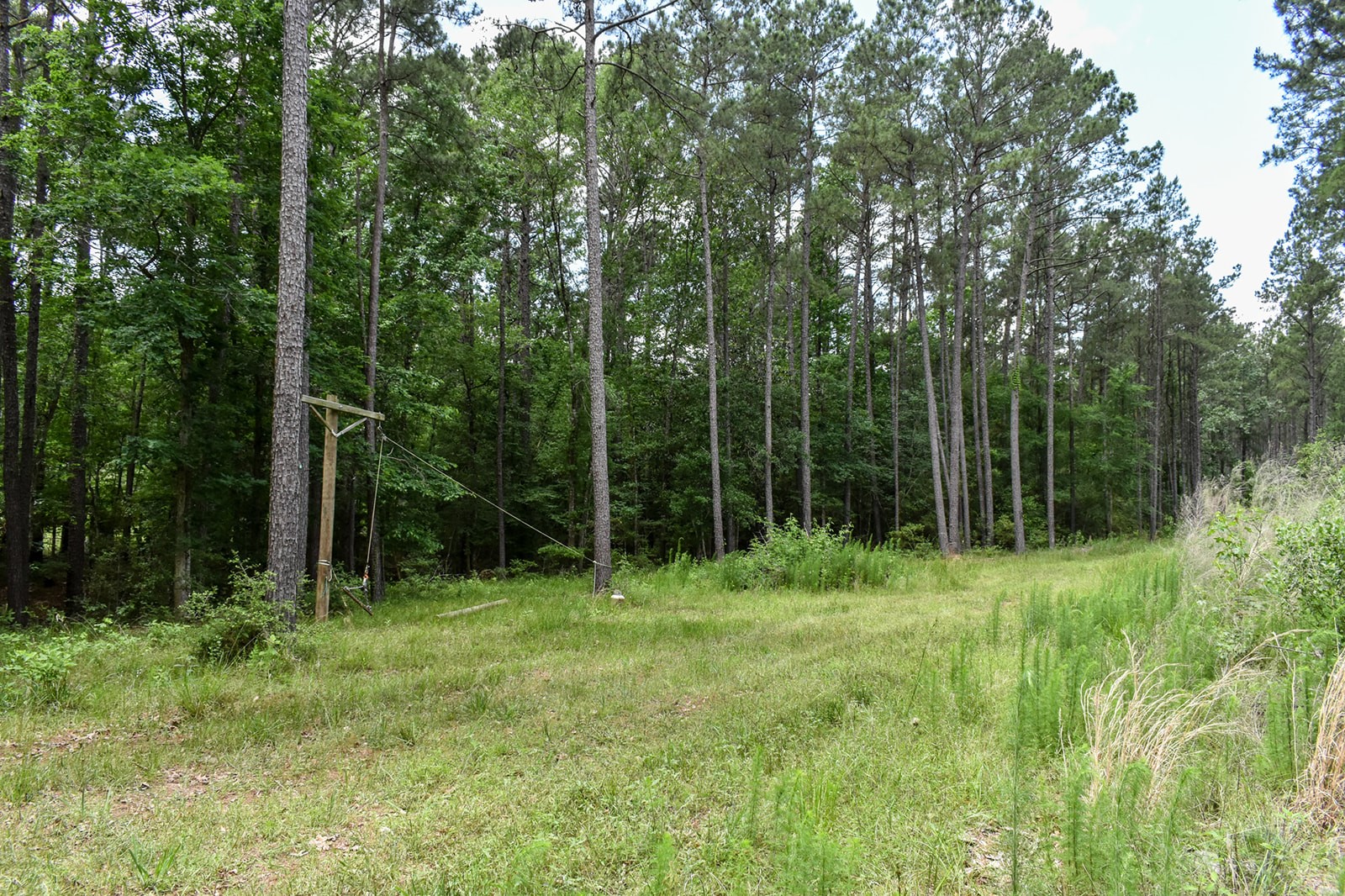 0 Oakdale Loop Livingston TX 77351