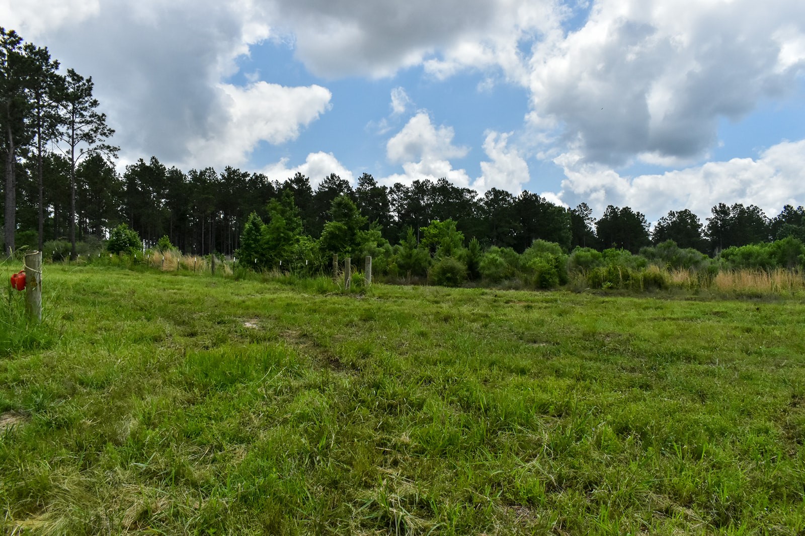 0 Oakdale Loop Livingston TX 77351