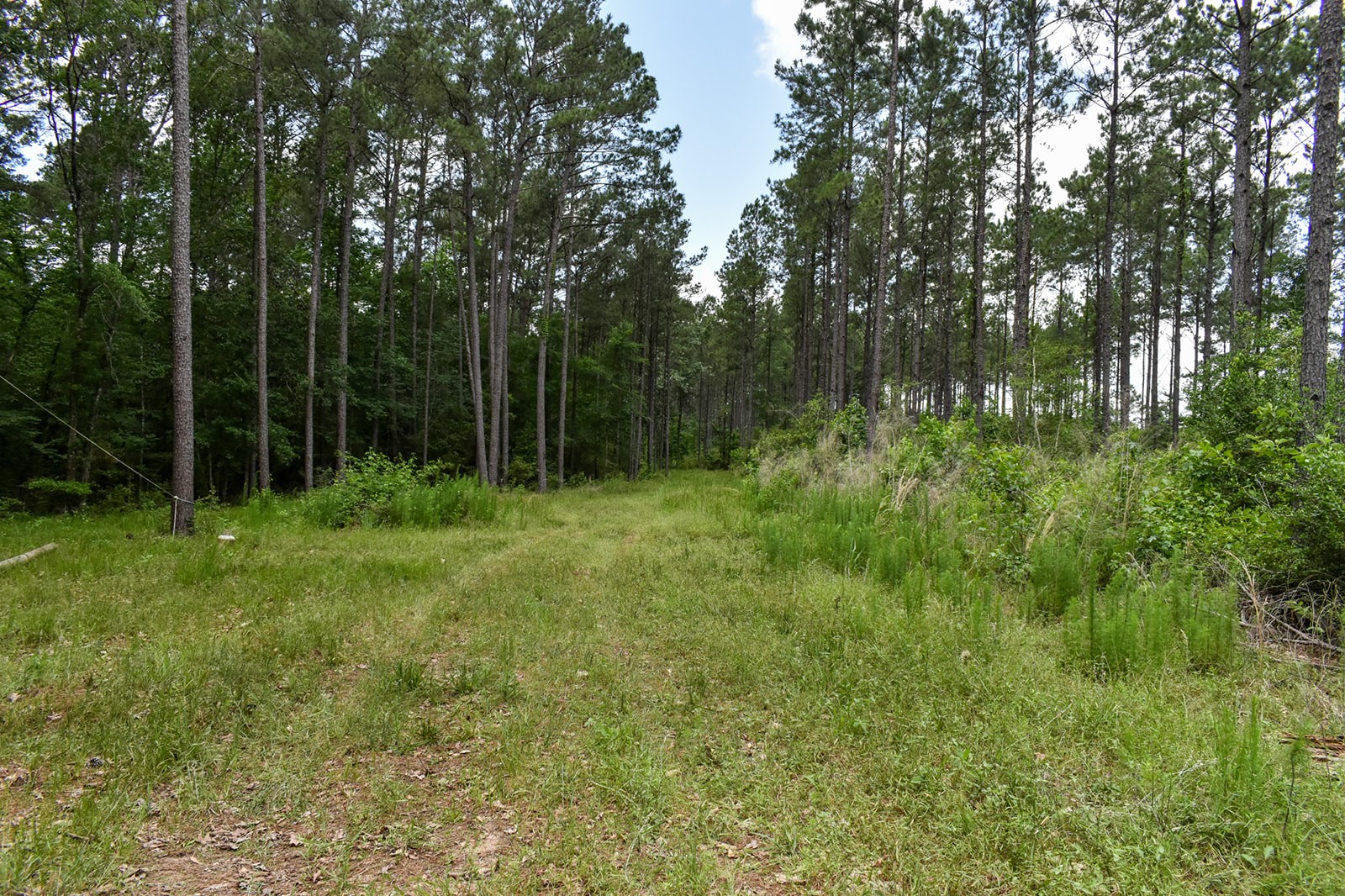 0 Oakdale Loop Livingston TX 77351