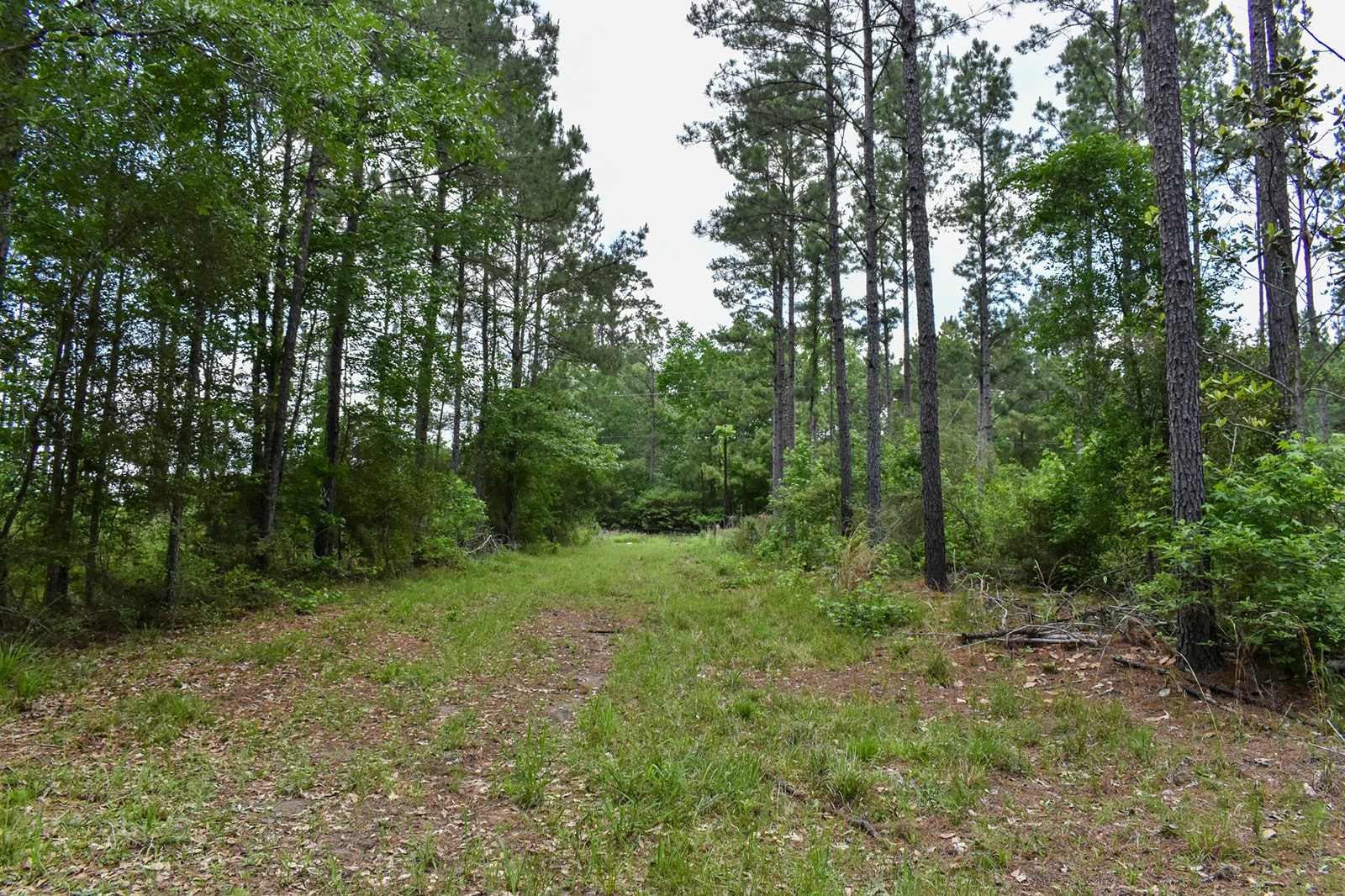 0 Oakdale Loop Livingston TX 77351