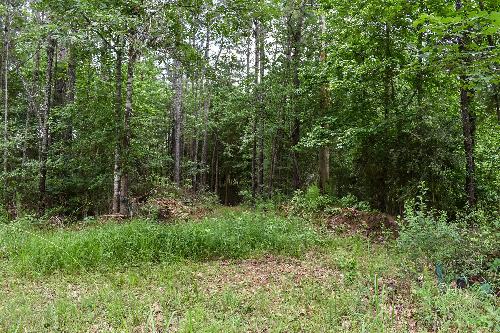 0 Oakdale Loop Livingston TX 77351