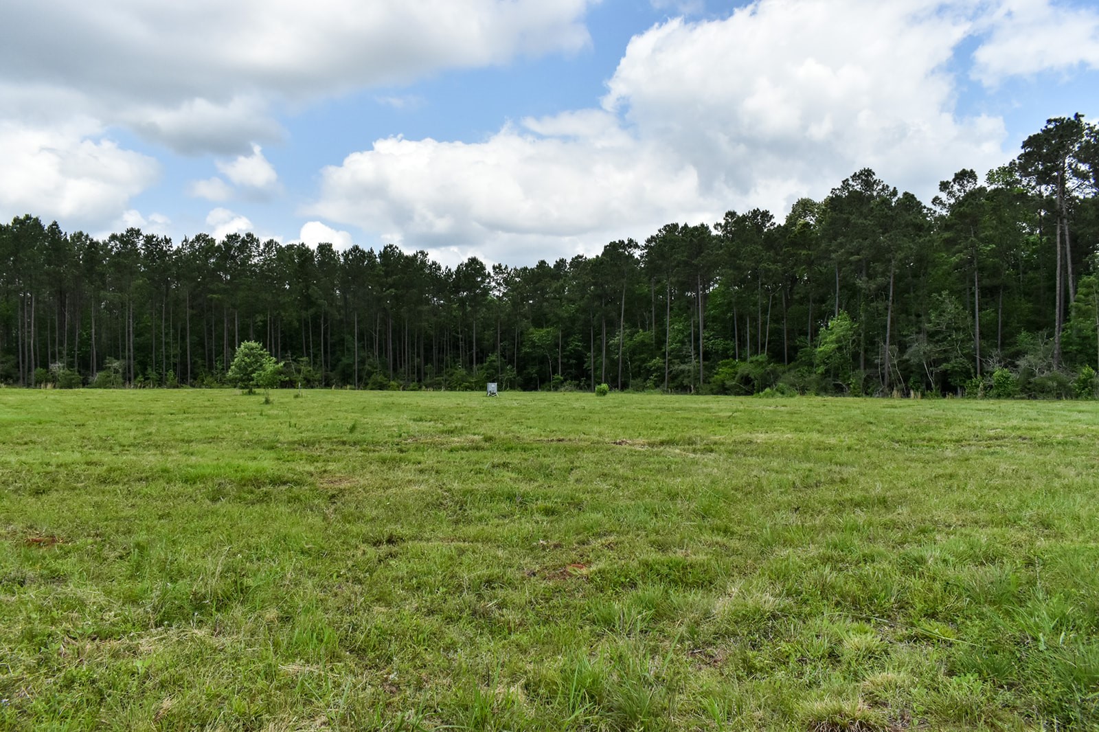 0 Oakdale Loop Livingston TX 77351