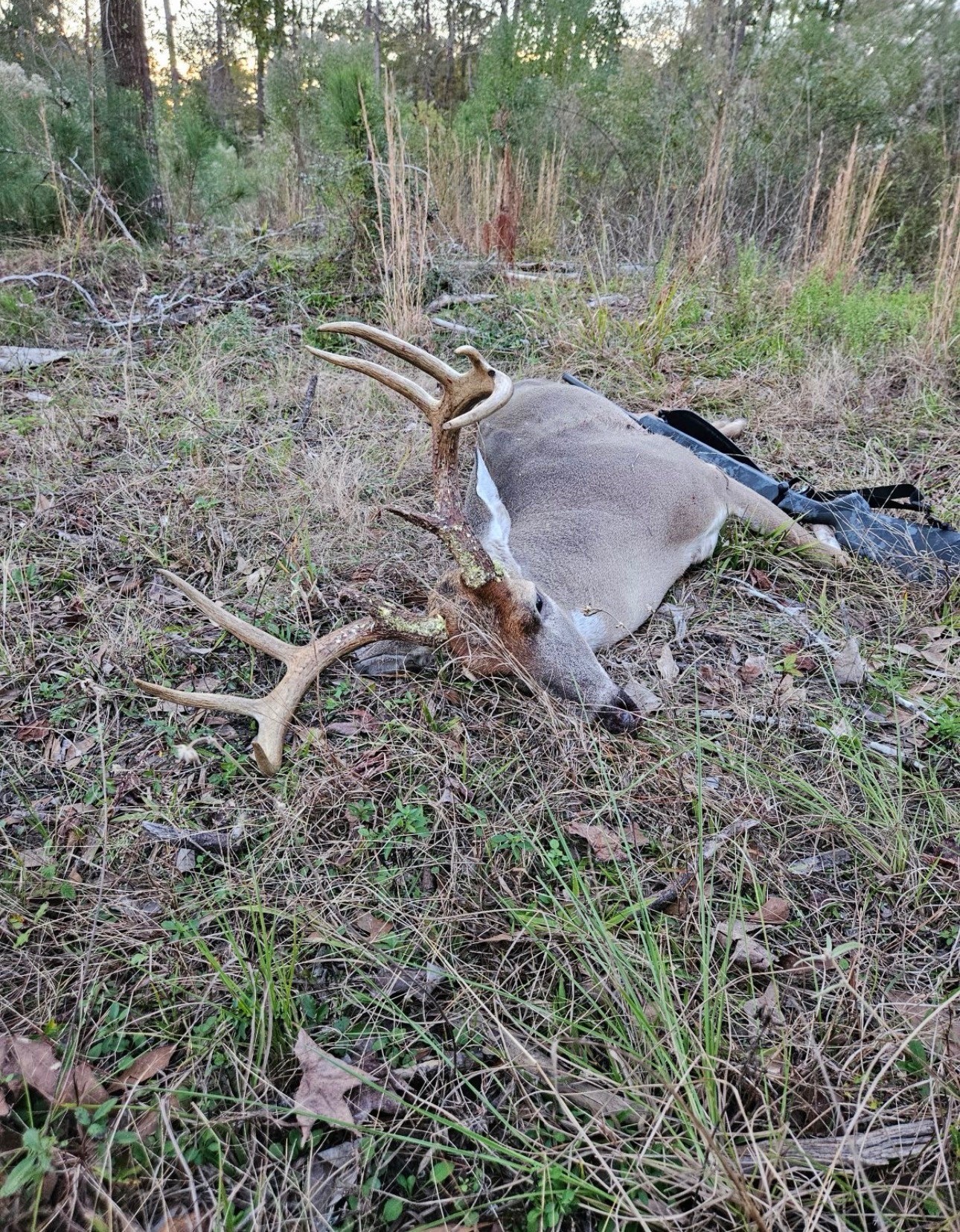 0 Oakdale Loop Livingston TX 77351