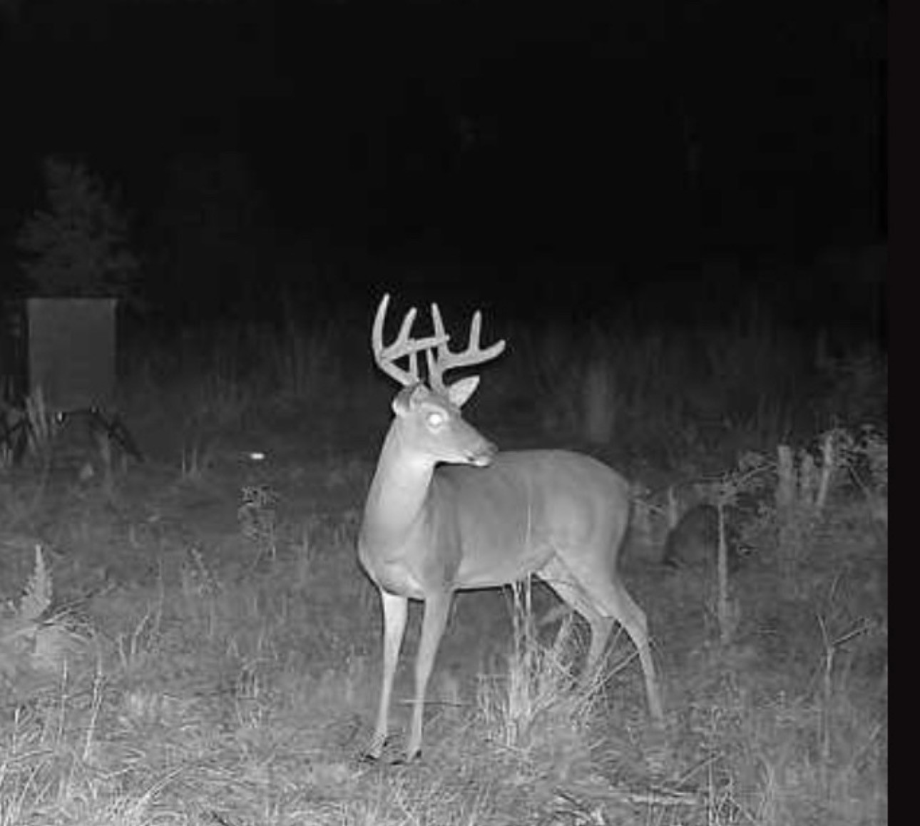 0 Oakdale Loop Livingston TX 77351