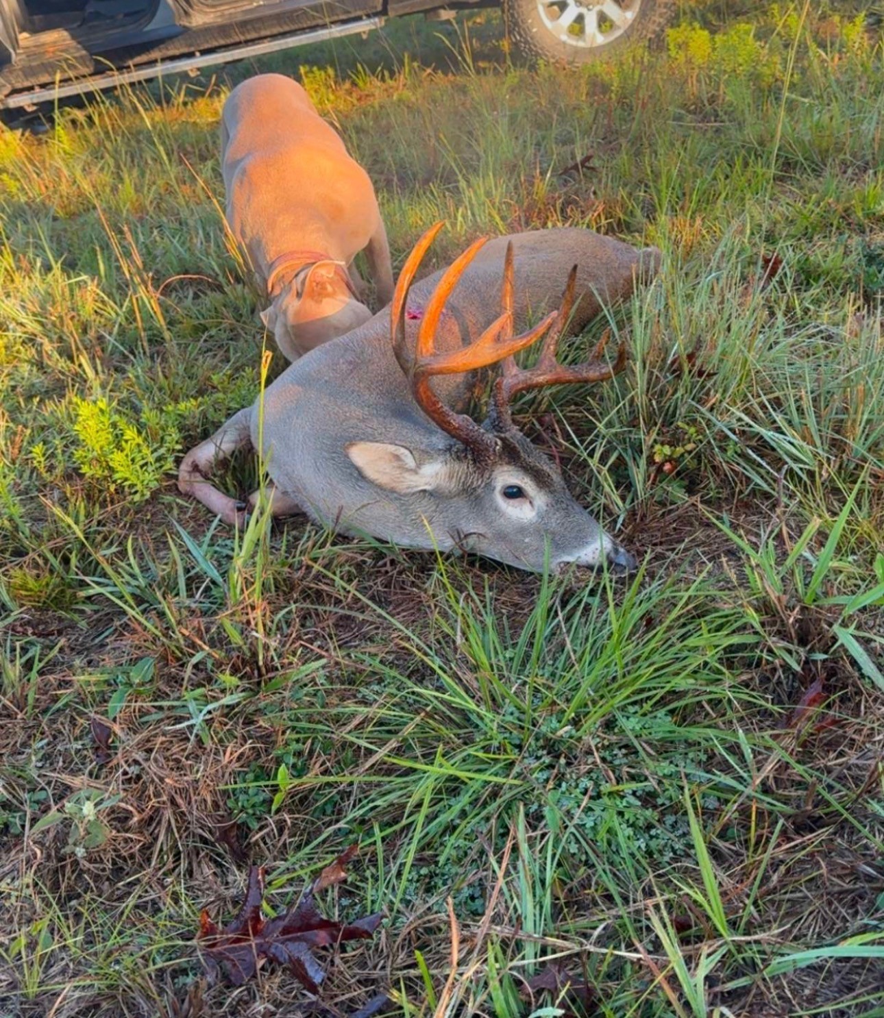 0 Oakdale Loop Livingston TX 77351