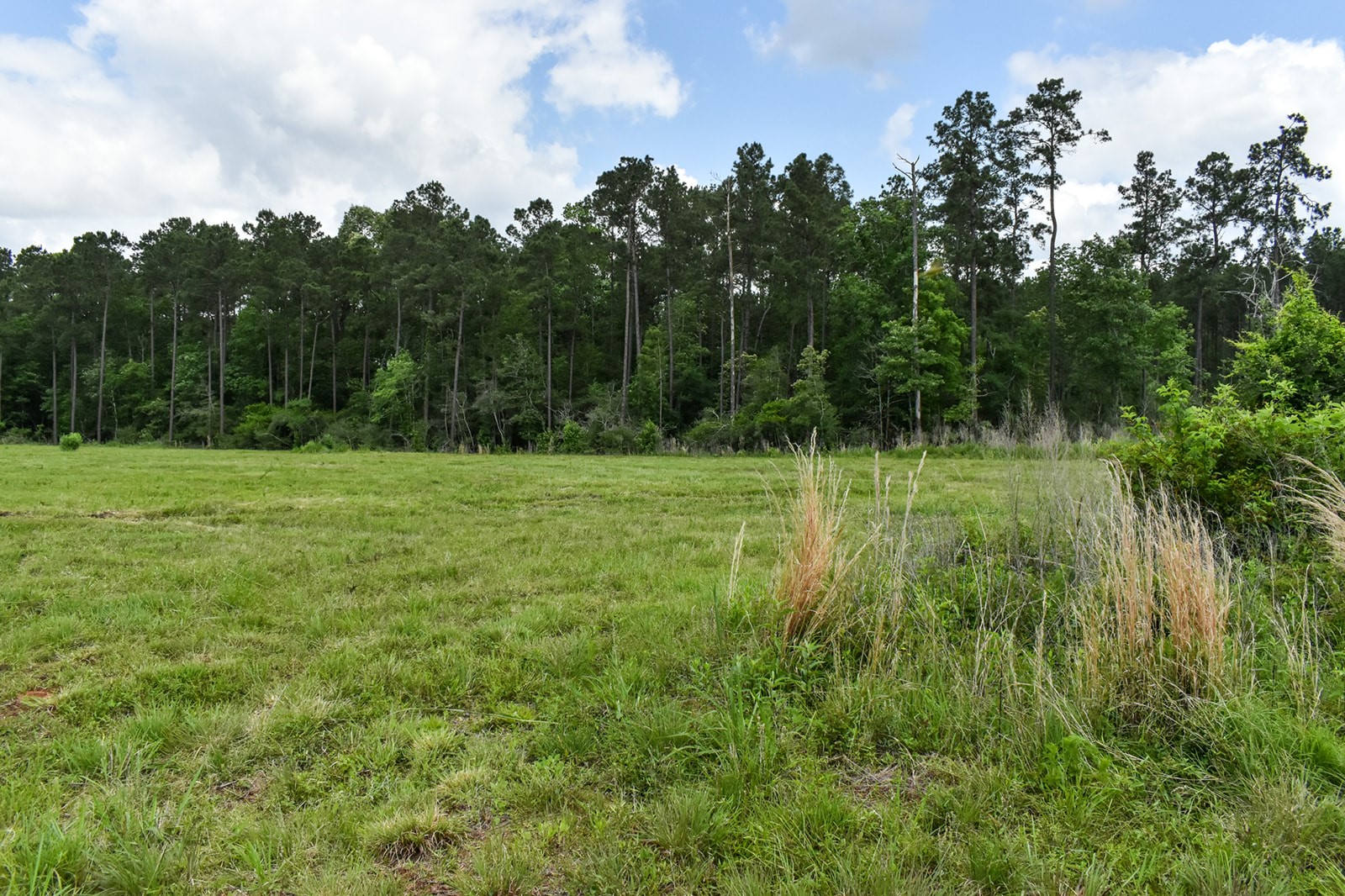 0 Oakdale Loop Livingston TX 77351