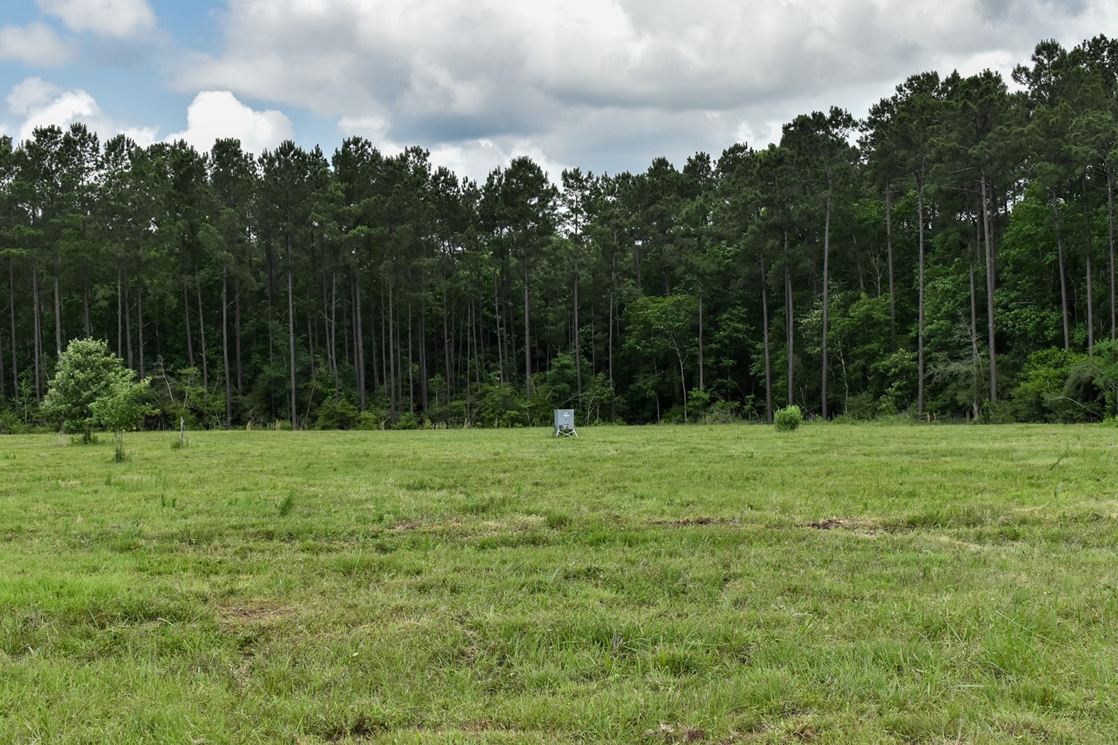 0 Oakdale Loop Livingston TX 77351