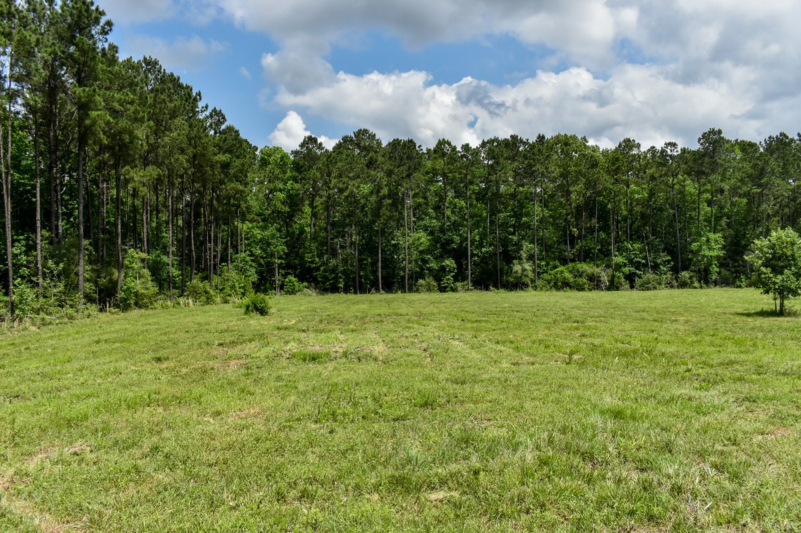 0 Oakdale Loop Livingston TX 77351