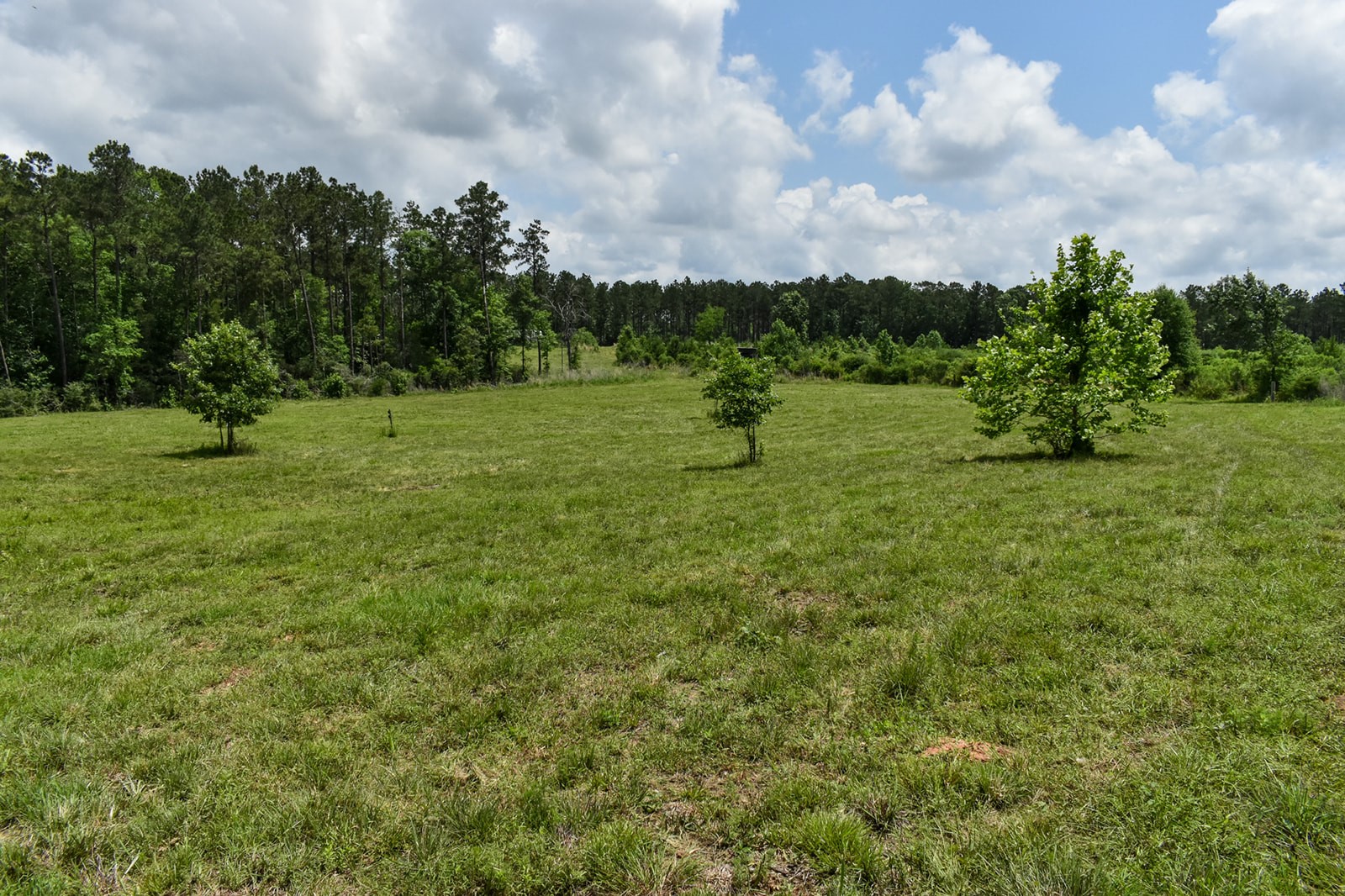 0 Oakdale Loop Livingston TX 77351