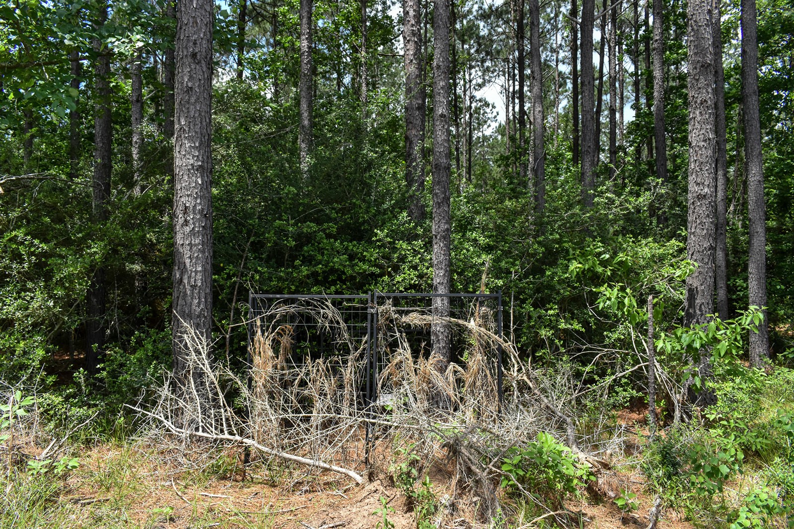 0 Oakdale Loop Livingston TX 77351