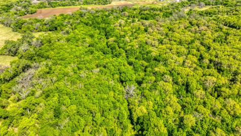 517 County Road 1364 Itasca TX 76055