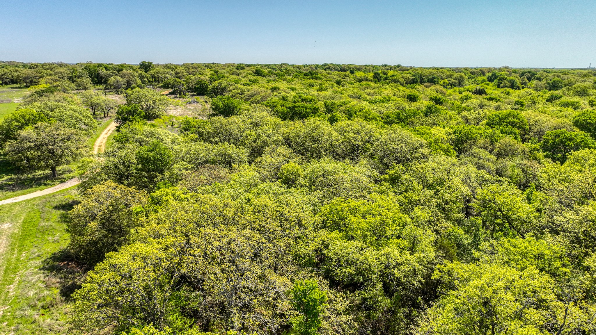 517 County Road 1364 Itasca TX 76055