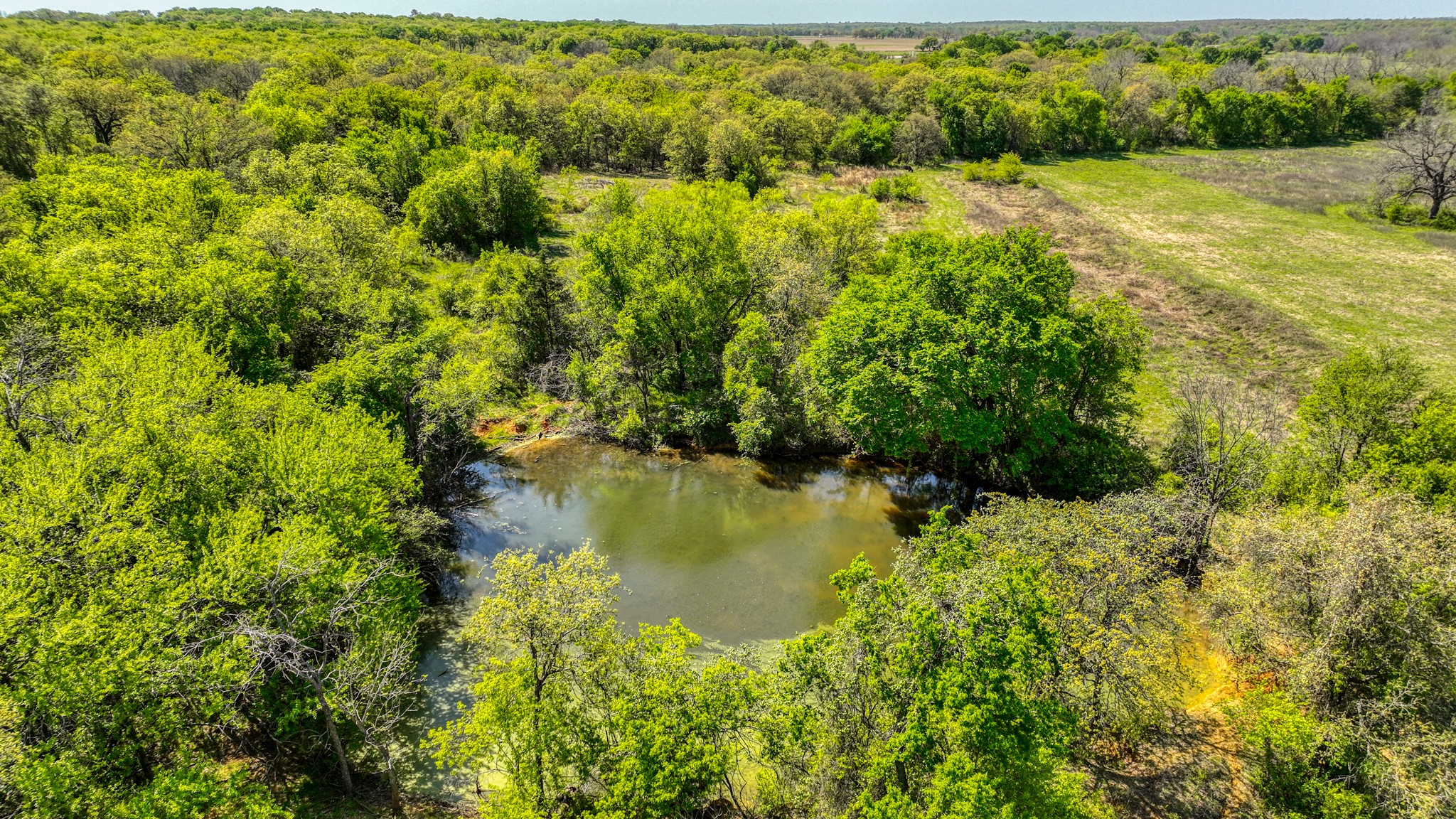 517 County Road 1364 Itasca TX 76055