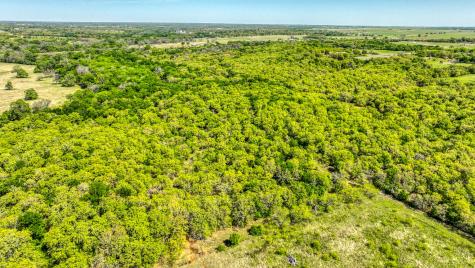 517 County Road 1364 Itasca TX 76055