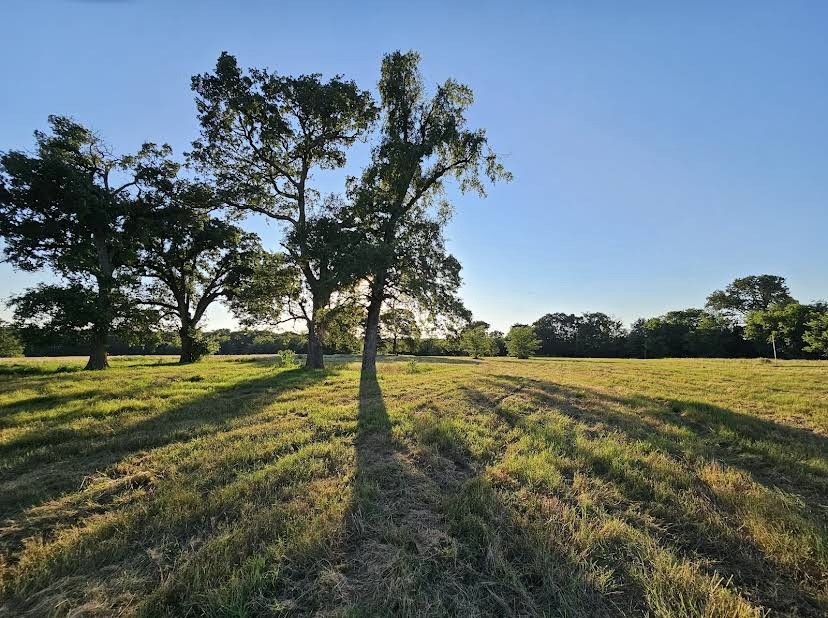 Tbd County Road 3512 Dike TX 75437
