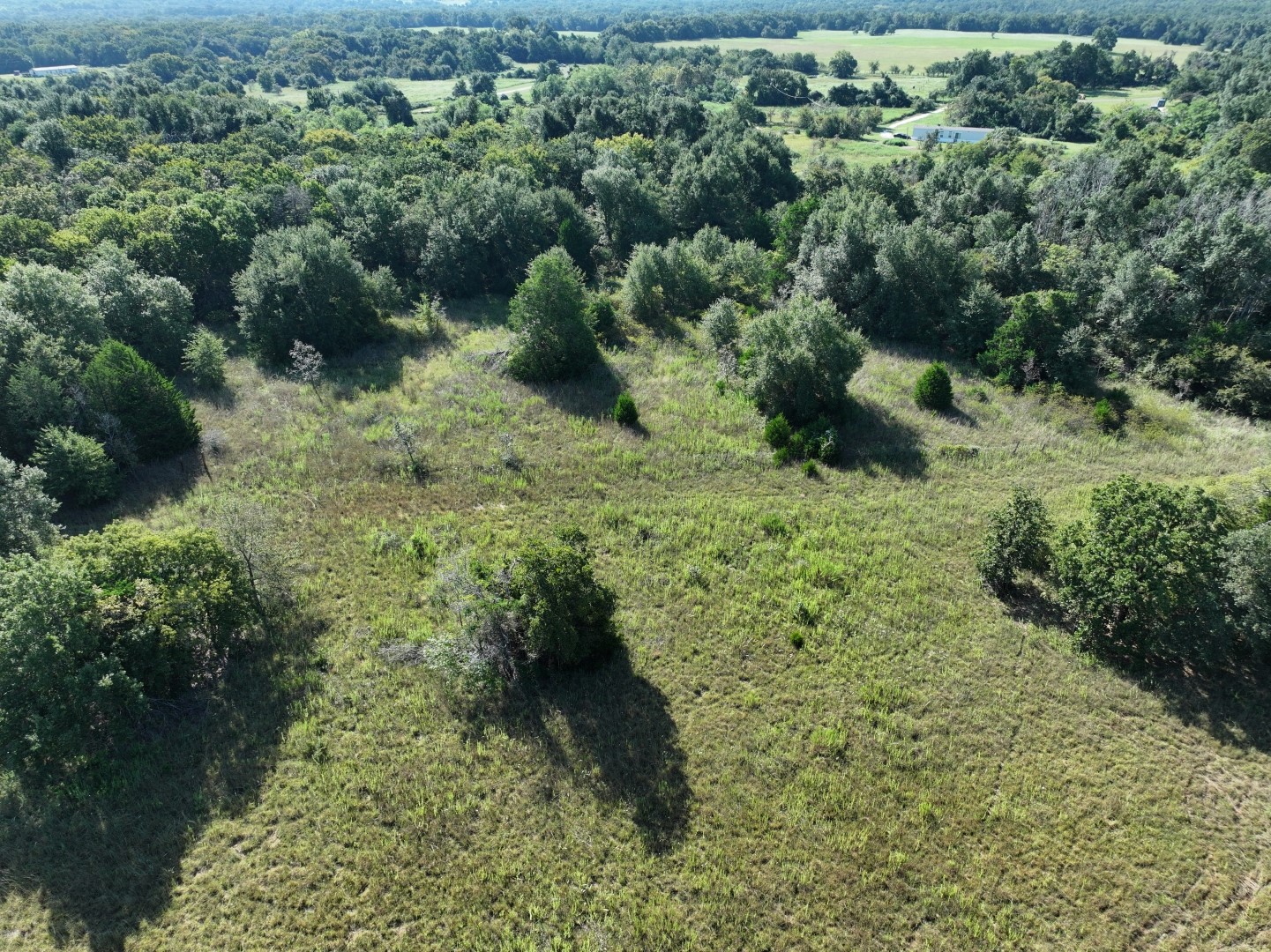 Tbd Cr 935 Teague TX 75860