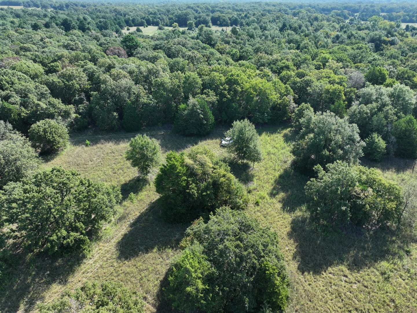 Tbd Cr 935 Teague TX 75860