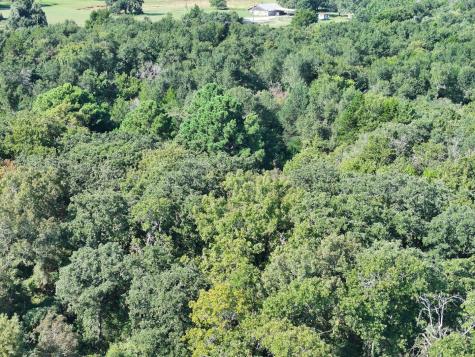 Tbd Cr 935 Teague TX 75860