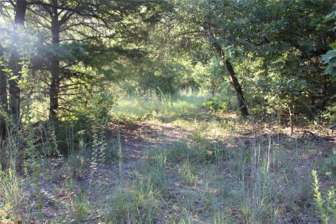 Tbd Cr 935 Teague TX 75860