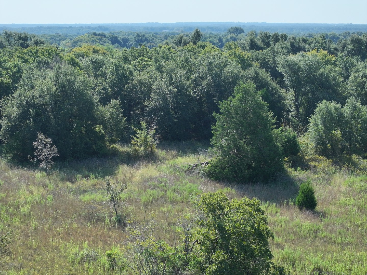 Tbd Cr 935 Teague TX 75860