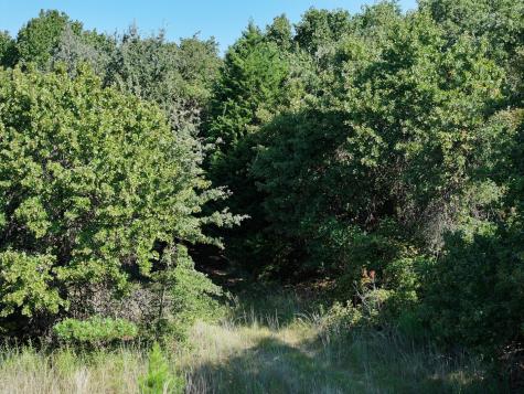 Tbd Cr 935 Teague TX 75860