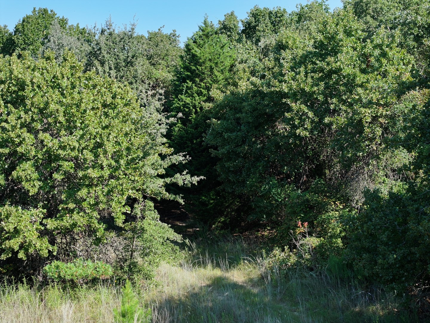 Tbd Cr 935 Teague TX 75860