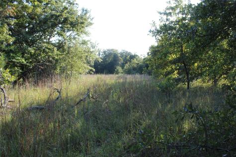 Tbd Cr 935 Teague TX 75860