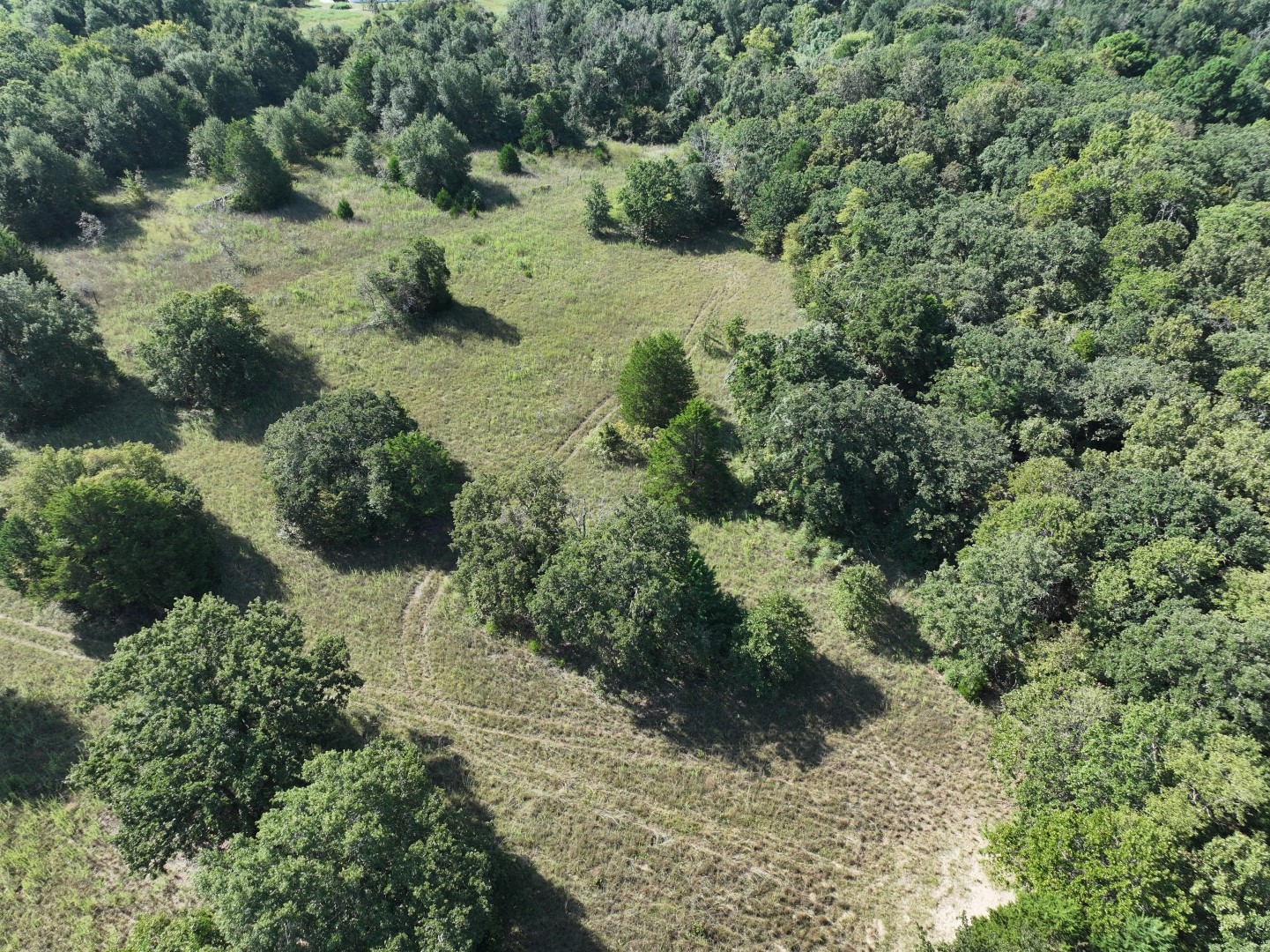 Tbd Cr 935 Teague TX 75860