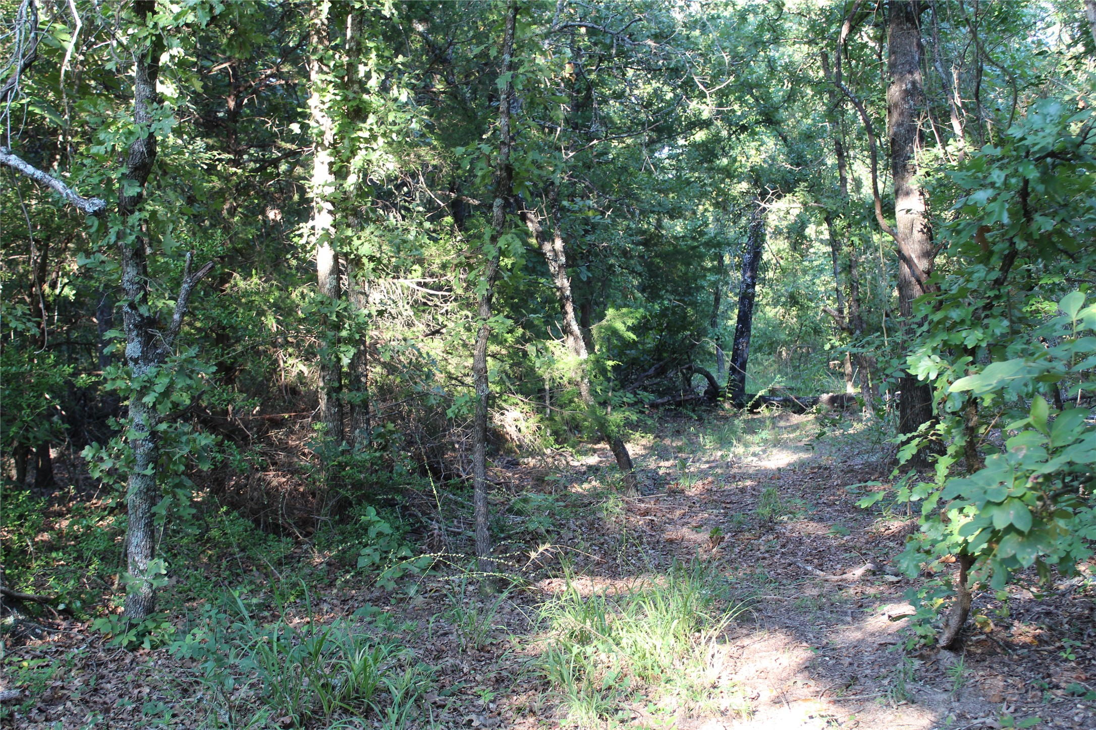 Tbd Cr 935 Teague TX 75860