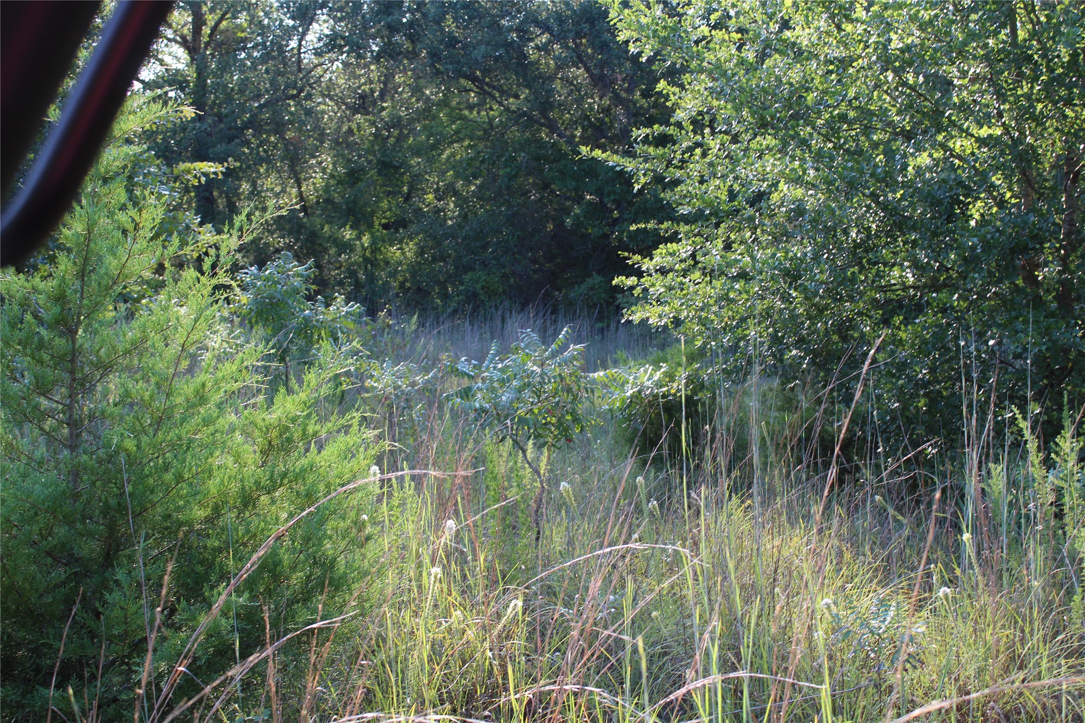 Tbd Cr 935 Teague TX 75860