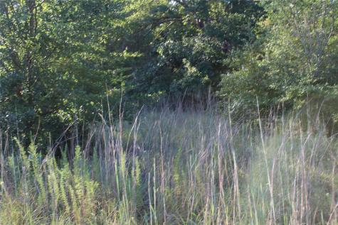 Tbd Cr 935 Teague TX 75860