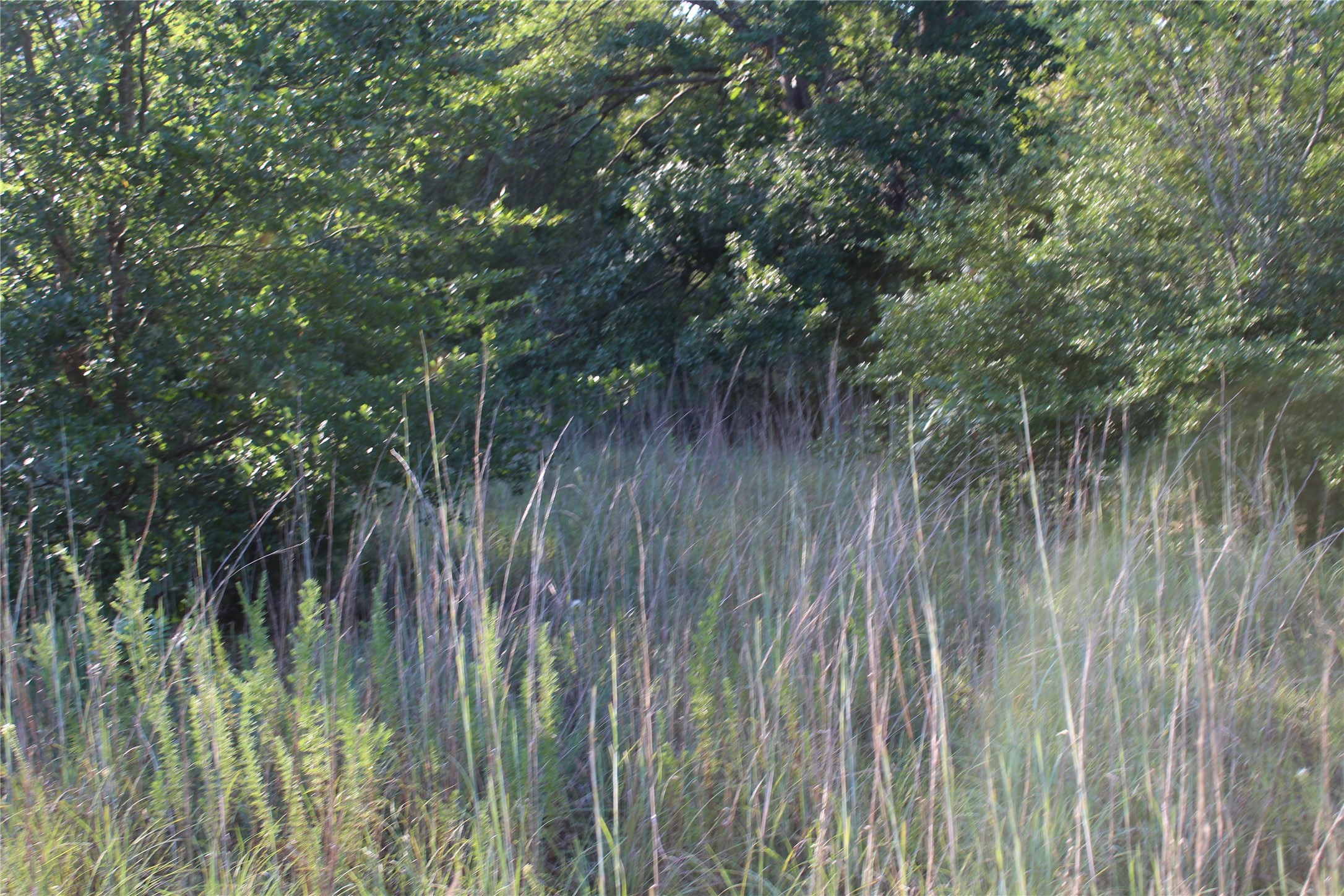 Tbd Cr 935 Teague TX 75860
