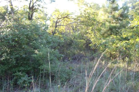 Tbd Cr 935 Teague TX 75860