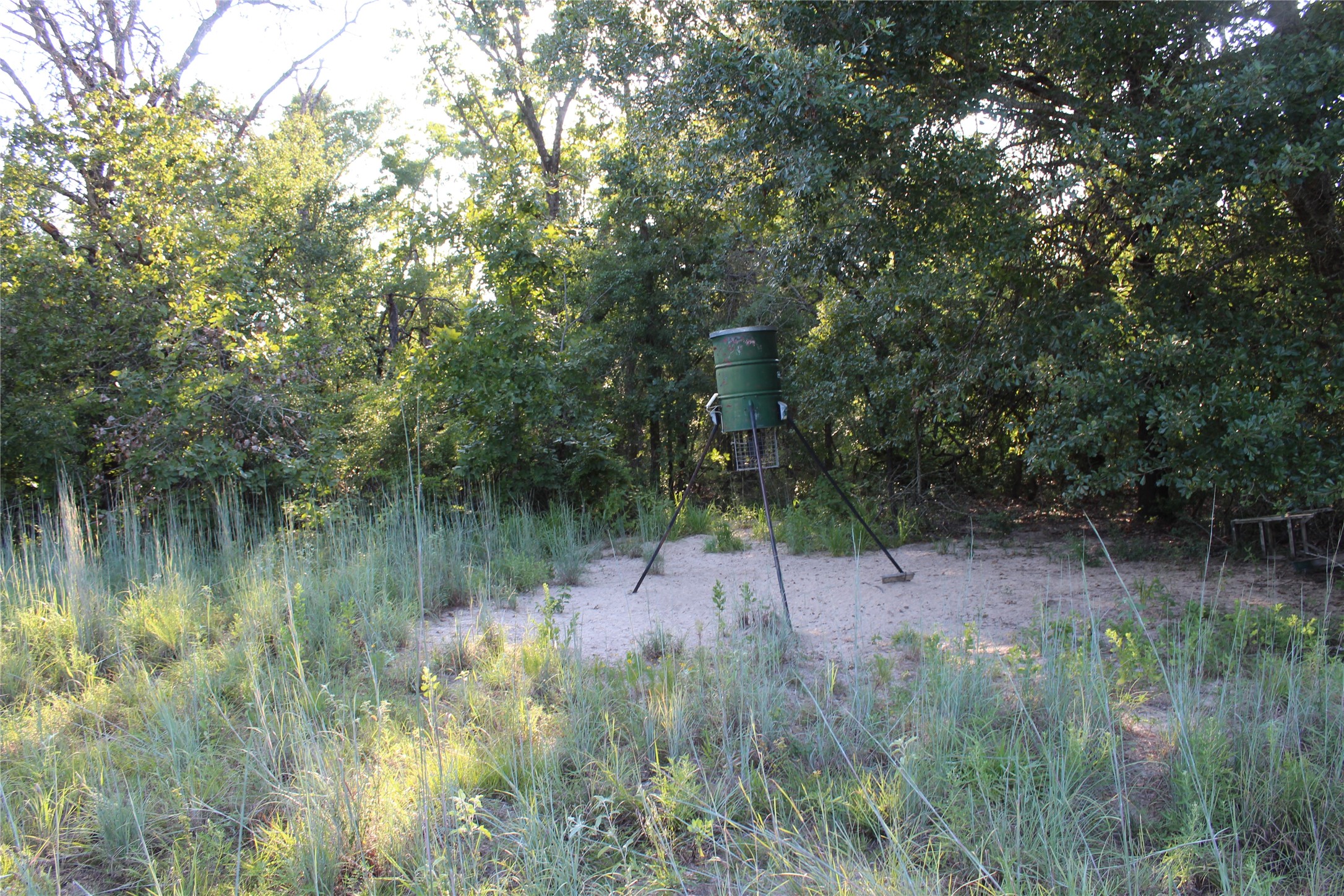 Tbd Cr 935 Teague TX 75860