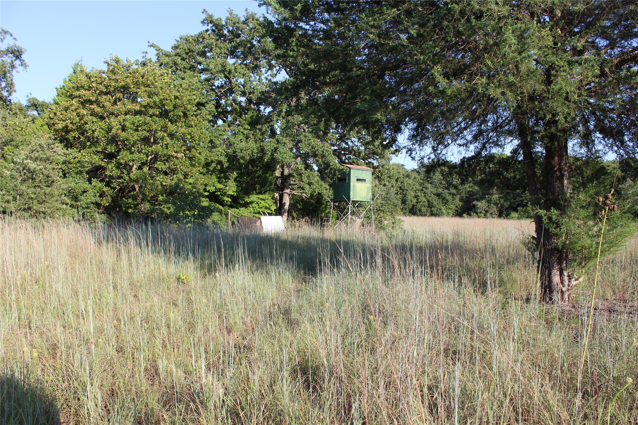 Tbd Cr 935 Teague TX 75860