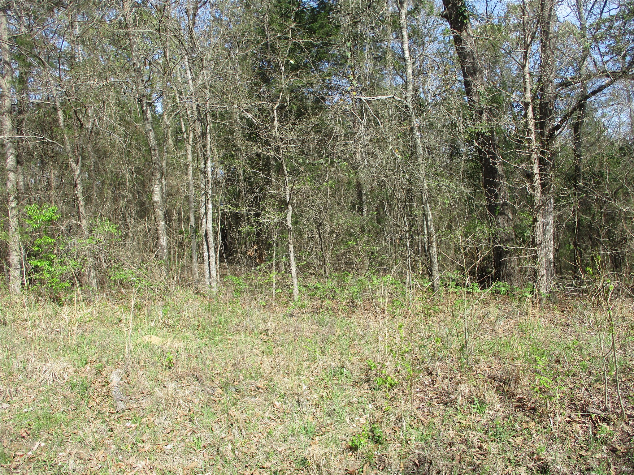 Tbd County Road 2958 Alba TX 75410