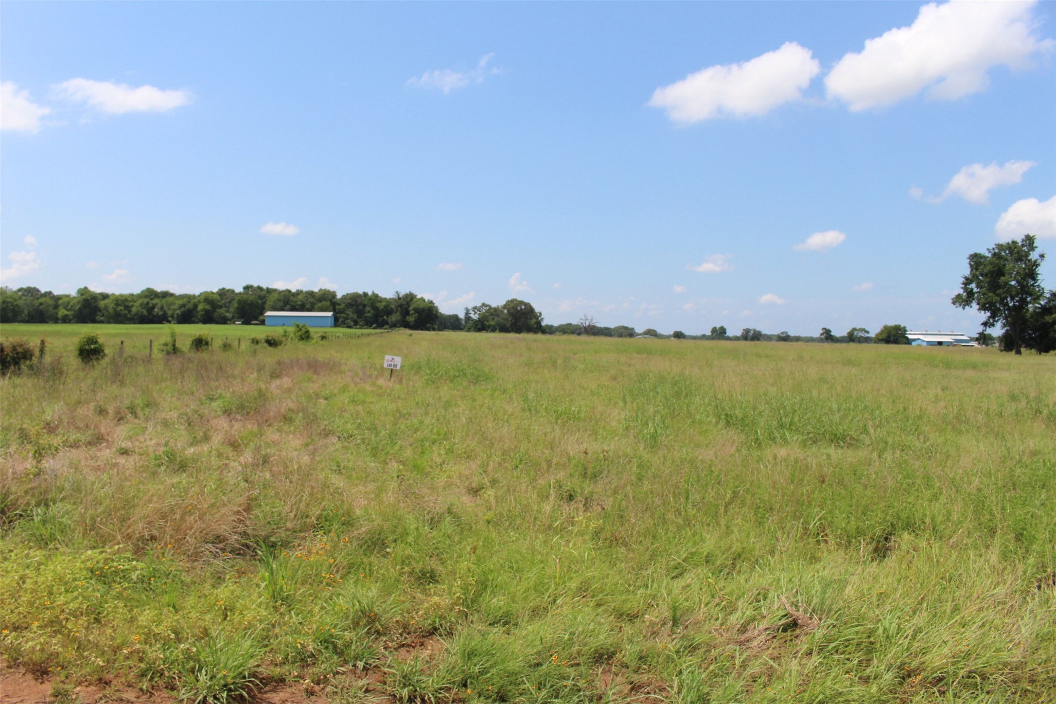 Tract 88 Private Road 2315 Centerville TX 75833
