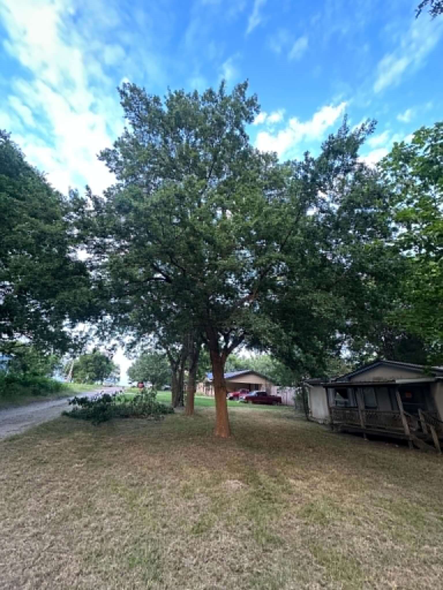 200 E Locust Street Celeste TX 75423