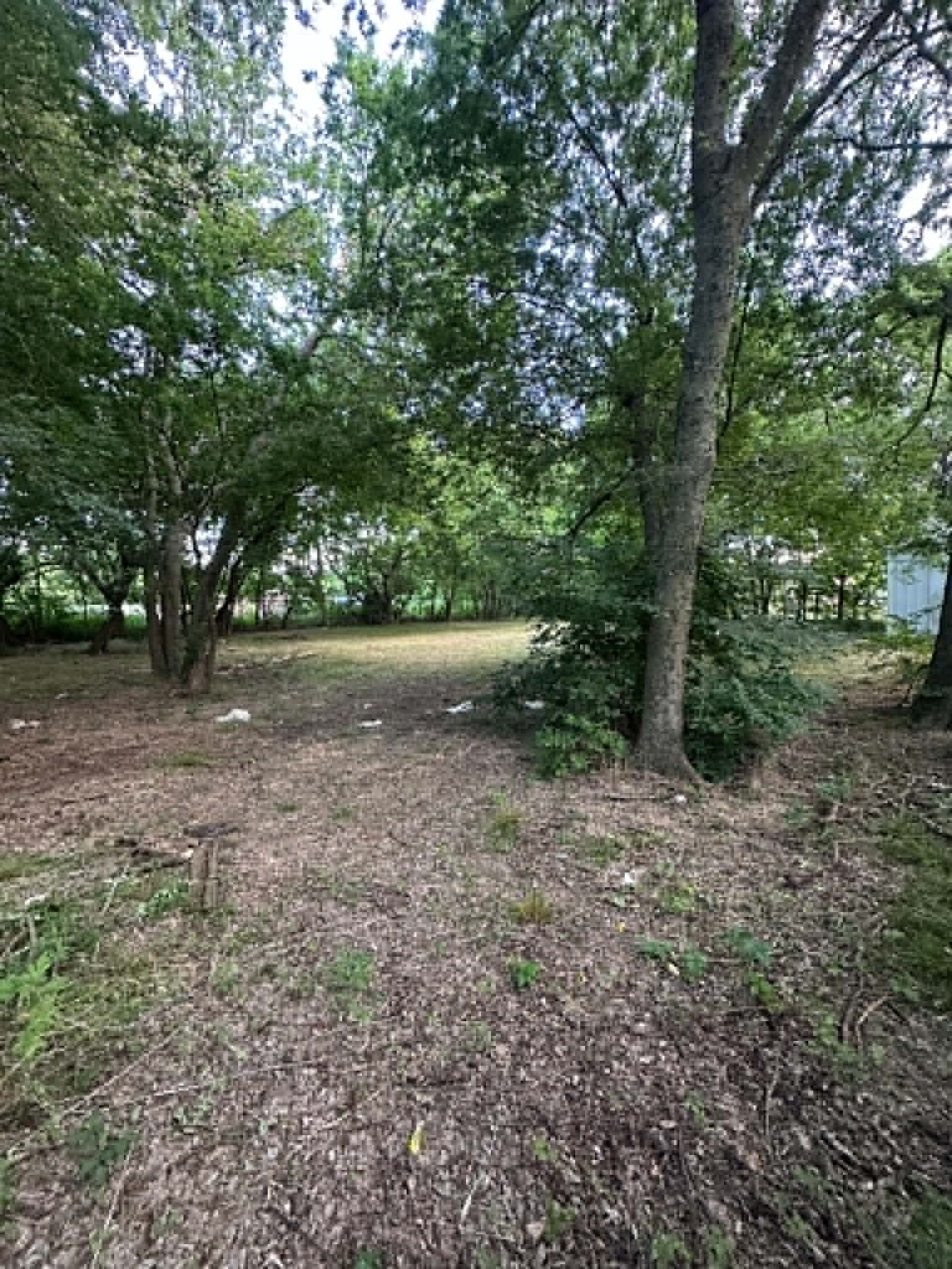 200 E Locust Street Celeste TX 75423