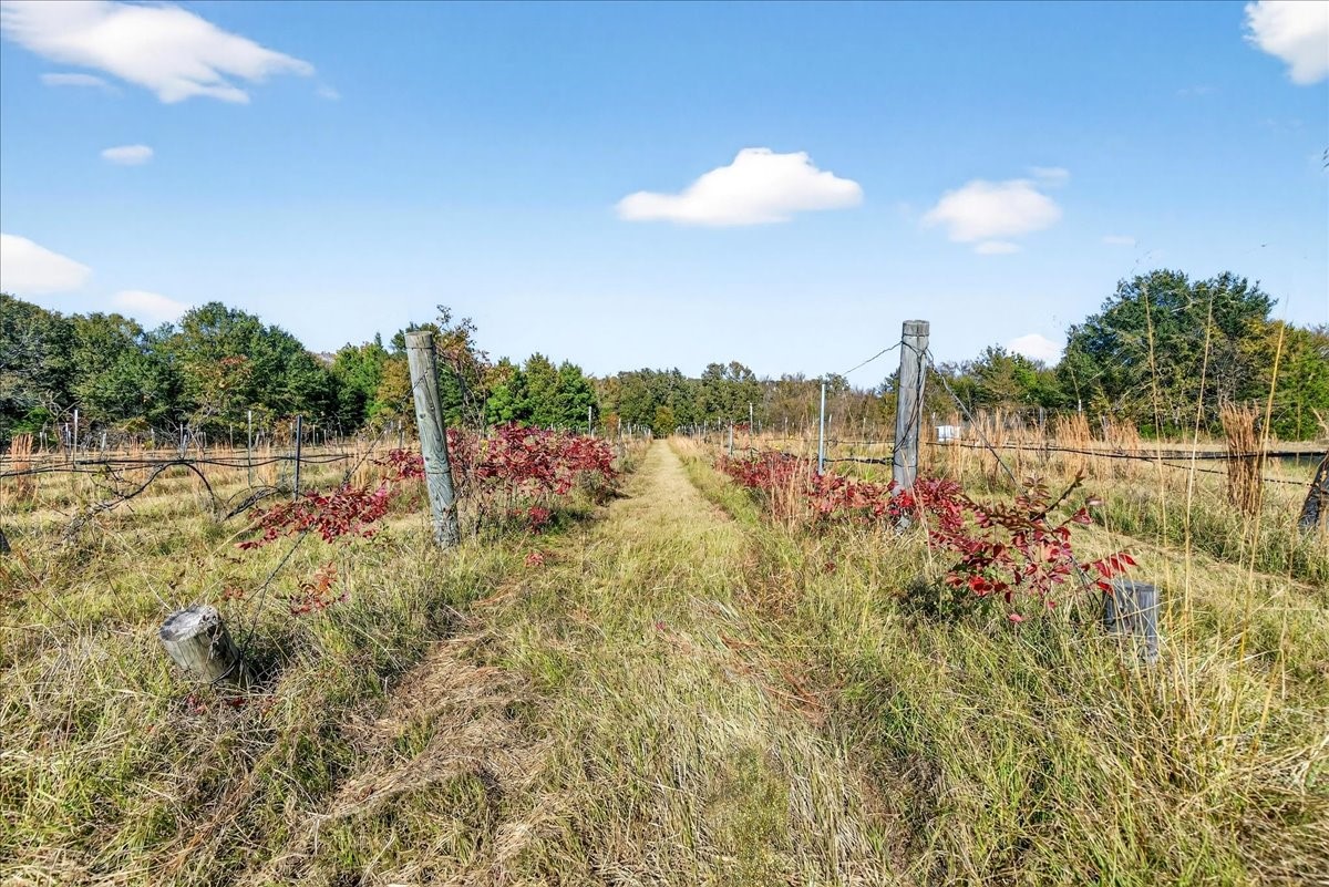 1603 Vz County Road 2908 Eustace TX 75124