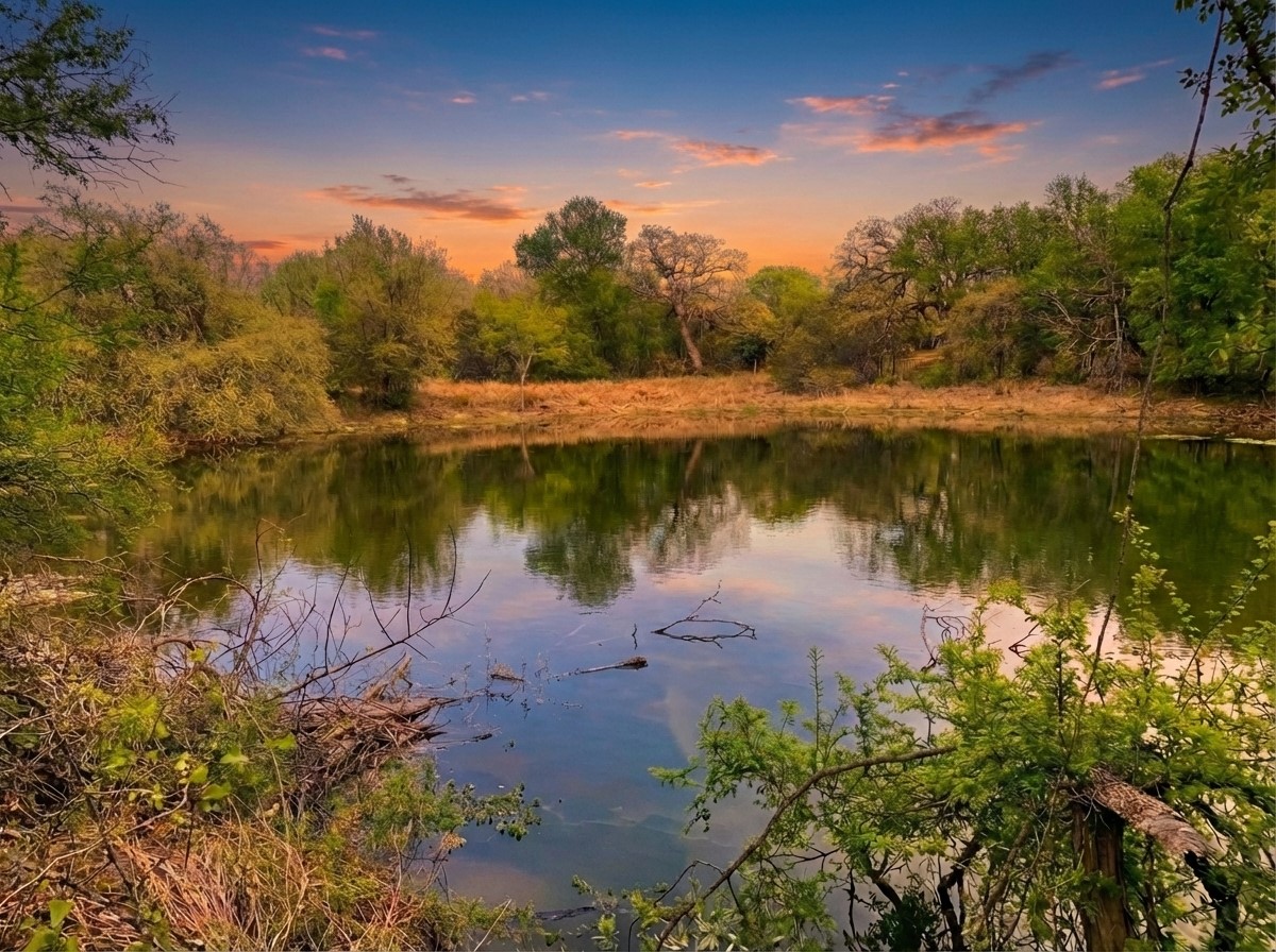 1039 & 1033 Creek Crossing Road Nemo TX 76070
