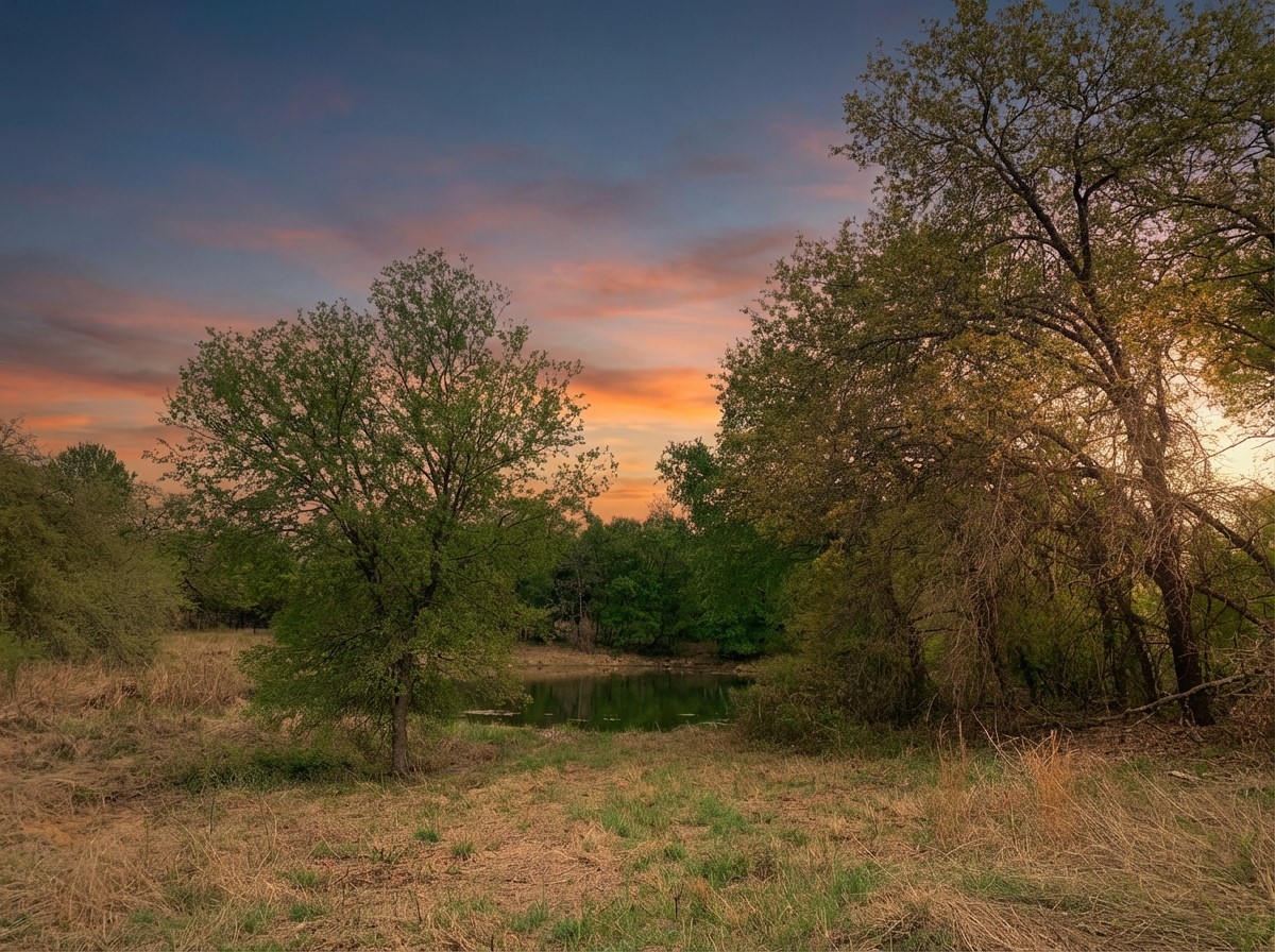 1039 & 1033 Creek Crossing Road Nemo TX 76070