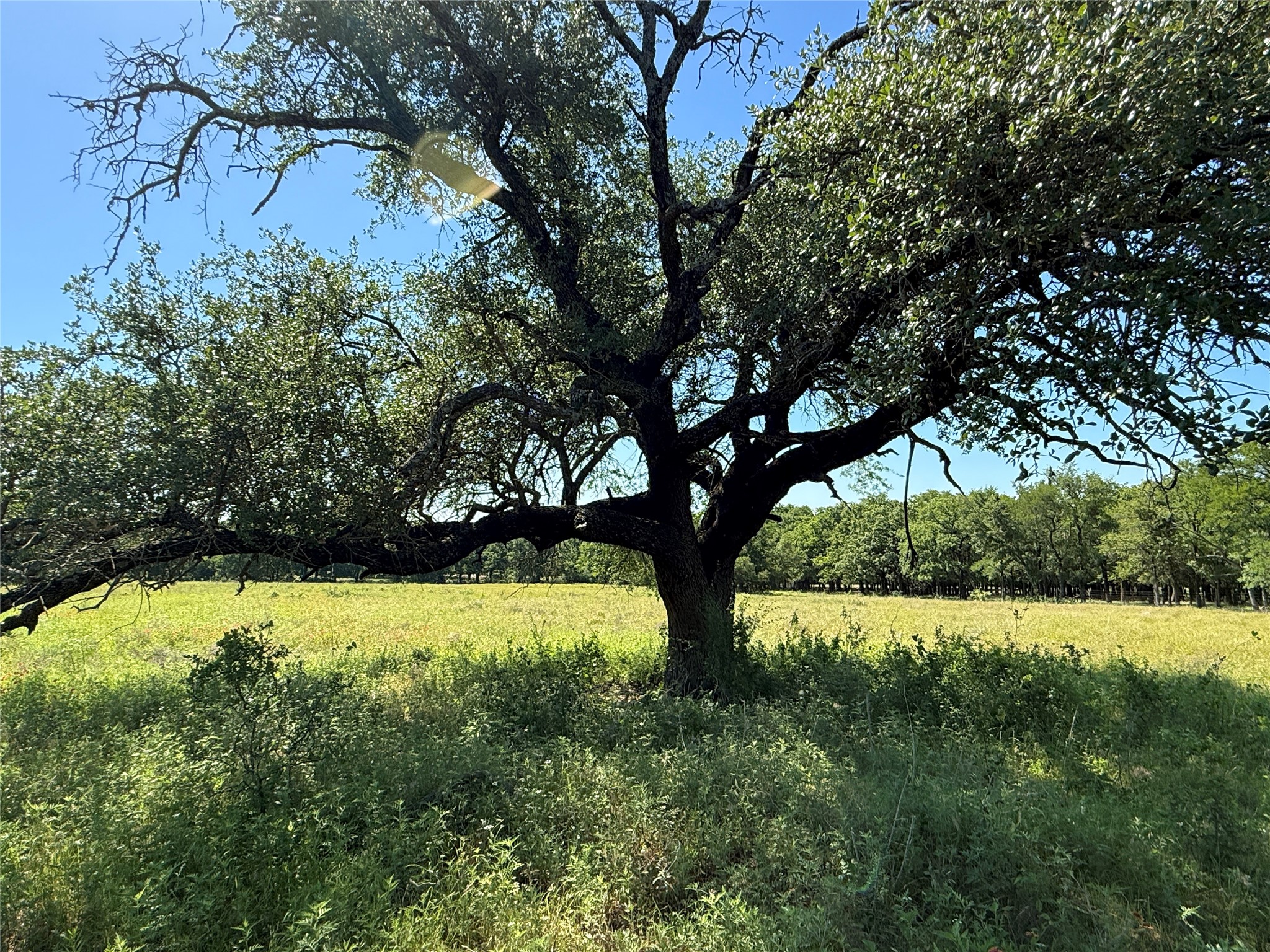 913 N Rice Hamilton TX 76531