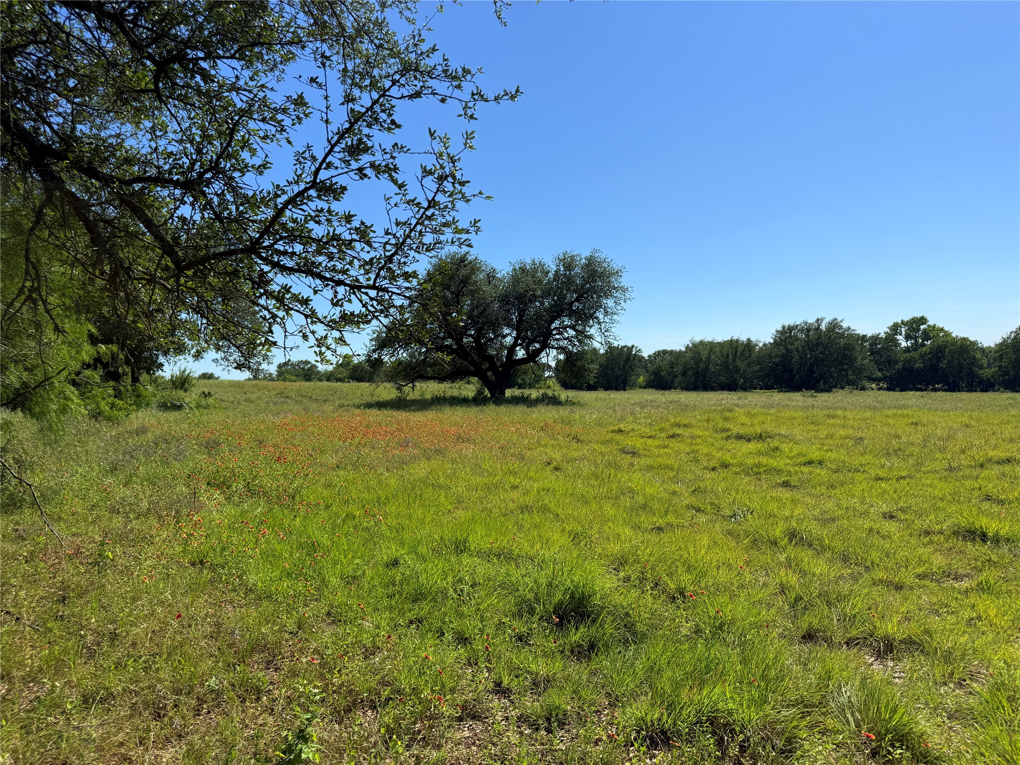 913 N Rice Hamilton TX 76531
