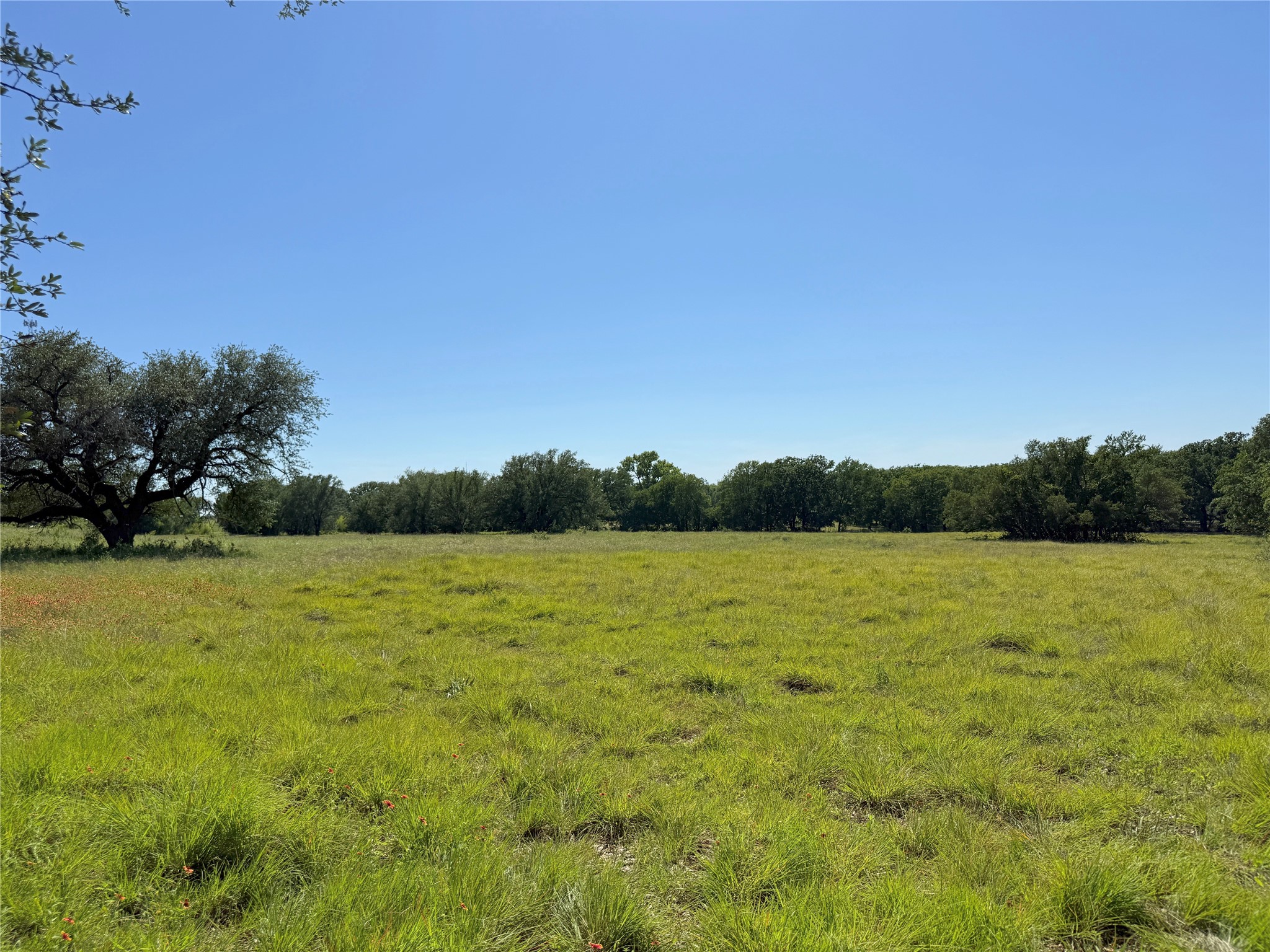 913 N Rice Hamilton TX 76531