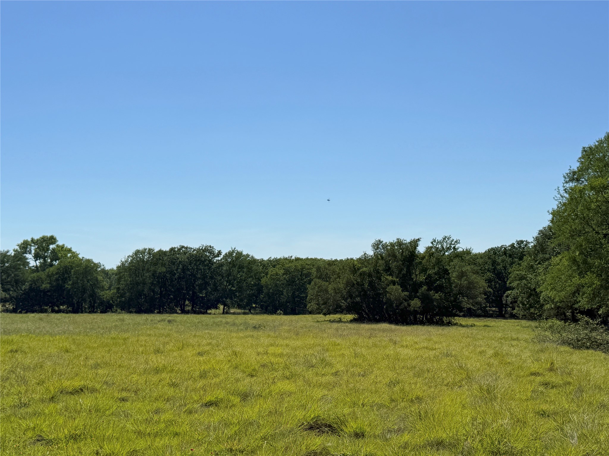 913 N Rice Hamilton TX 76531