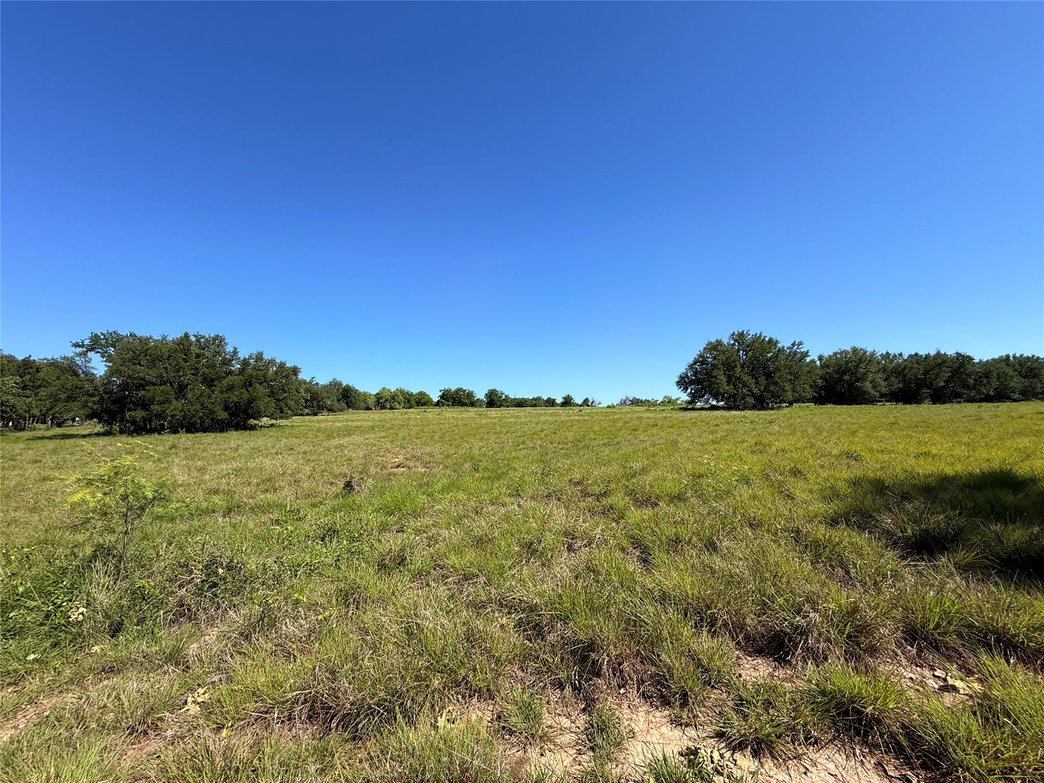 913 N Rice Hamilton TX 76531